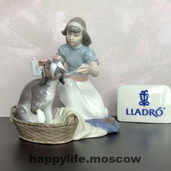 Животные